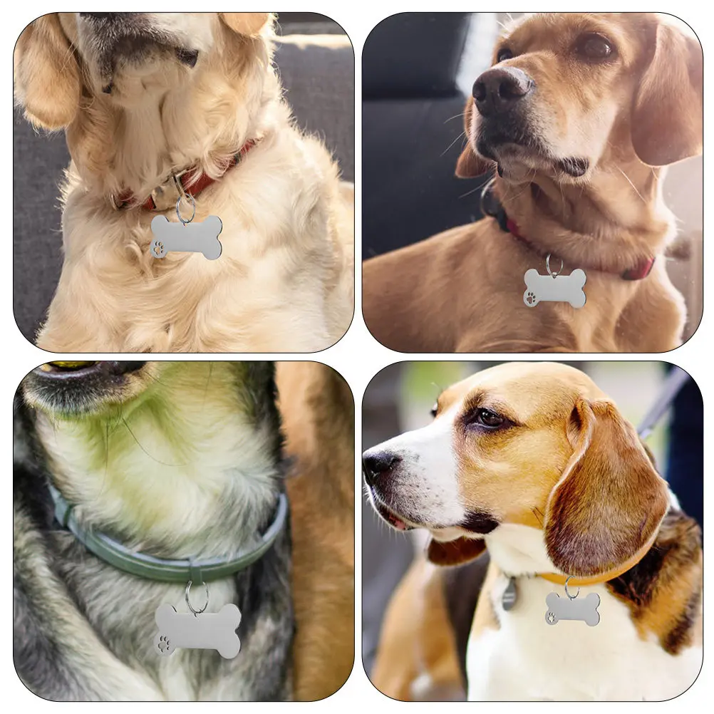 6Pcs Dog Id Tags Premium Steel Pet Name Plate for Puppy Cat Personalized Hanging Tag Pet Identity Collar Accessory
6Pcs Dog Id Tags Premium Steel Pet Name Plate for Puppy Cat Personalized Hanging Tag Pet Identity Collar Accessory