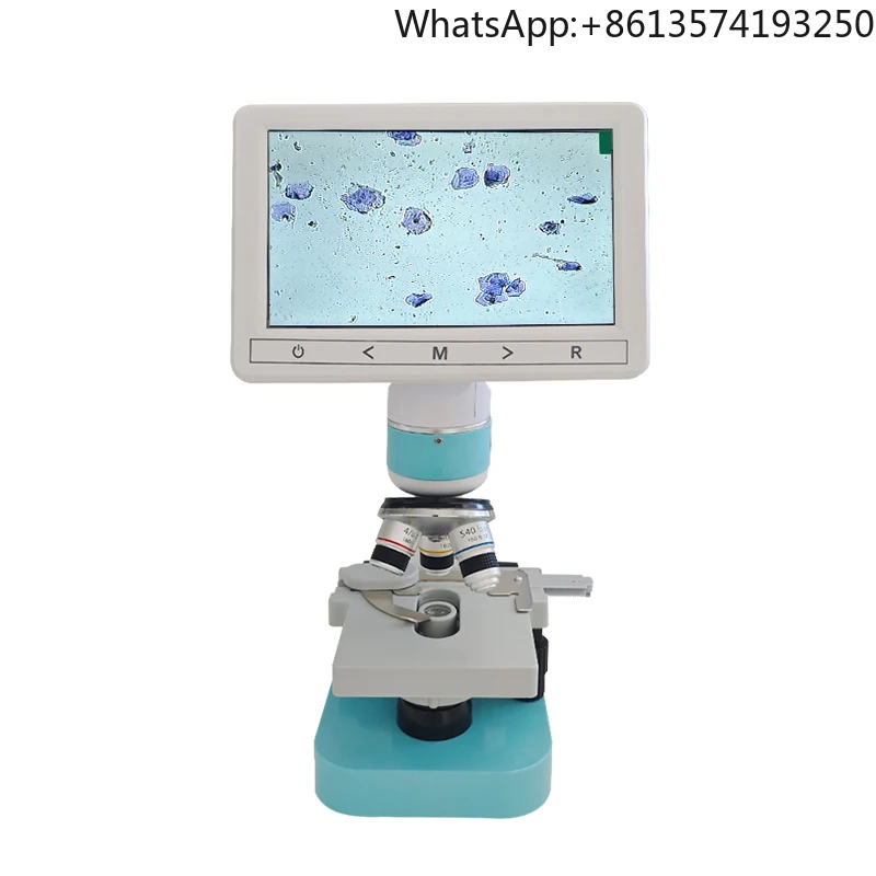 Best Quality Portable Animal Sperm Motility Detection Microscope Boar Fresh Semen Detection 7 Inch Microscope
Best Quality Portable Animal Sperm Motility Detection Microscope Boar Fresh Semen Detection 7 Inch Microscope