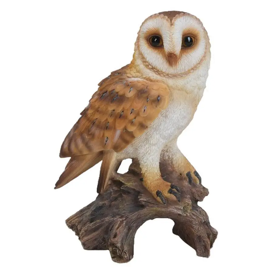 Barn Owl on Stump, 7.25
Barn Owl on Stump, 7.25
