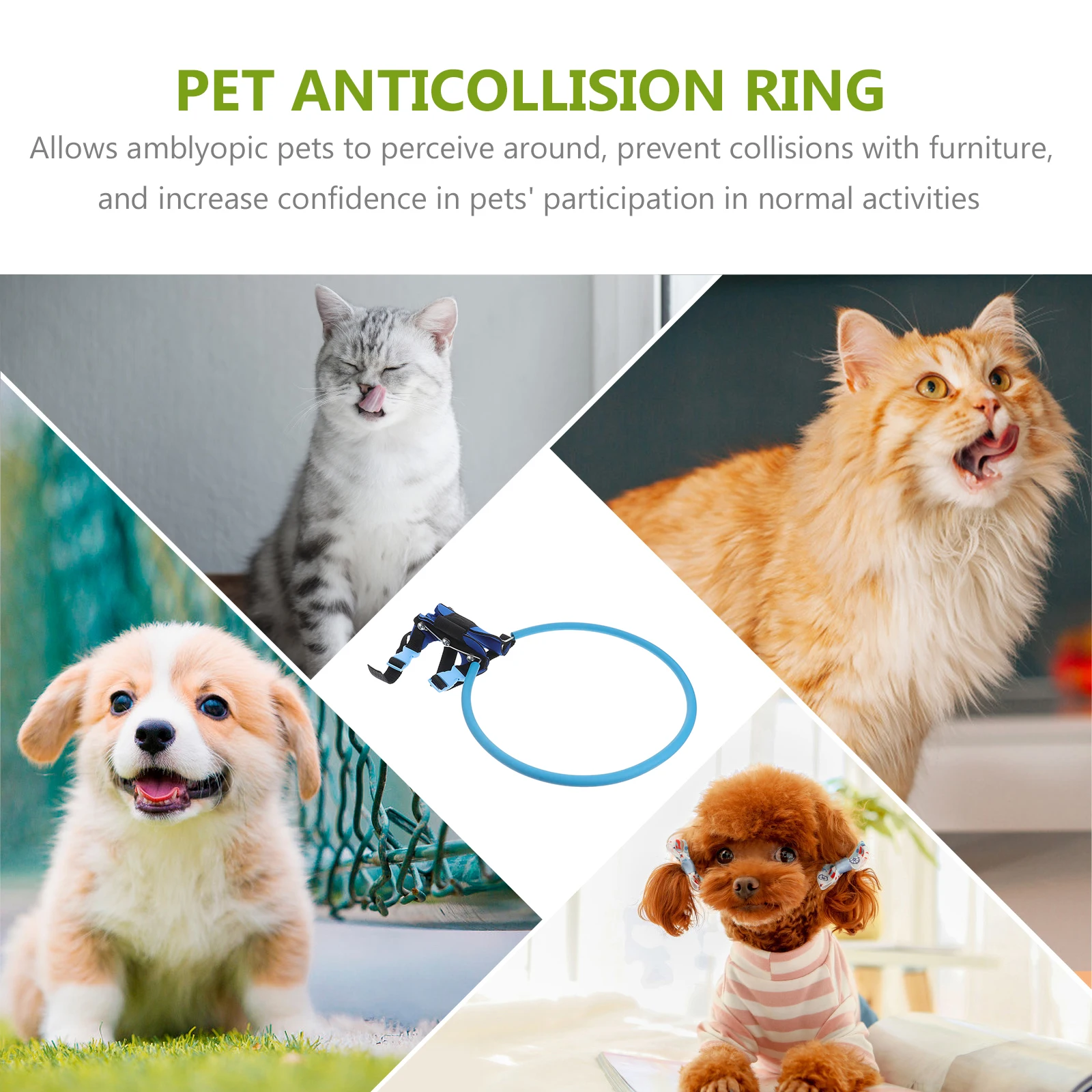 Anti Collision Ring for Blind Dogs Lightweight EVA Foam Circle Harness Adjustable Dog Accessories Durable for Daily
Anti Collision Ring for Blind Dogs Lightweight EVA Foam Circle Harness Adjustable Dog Accessories Durable for Daily