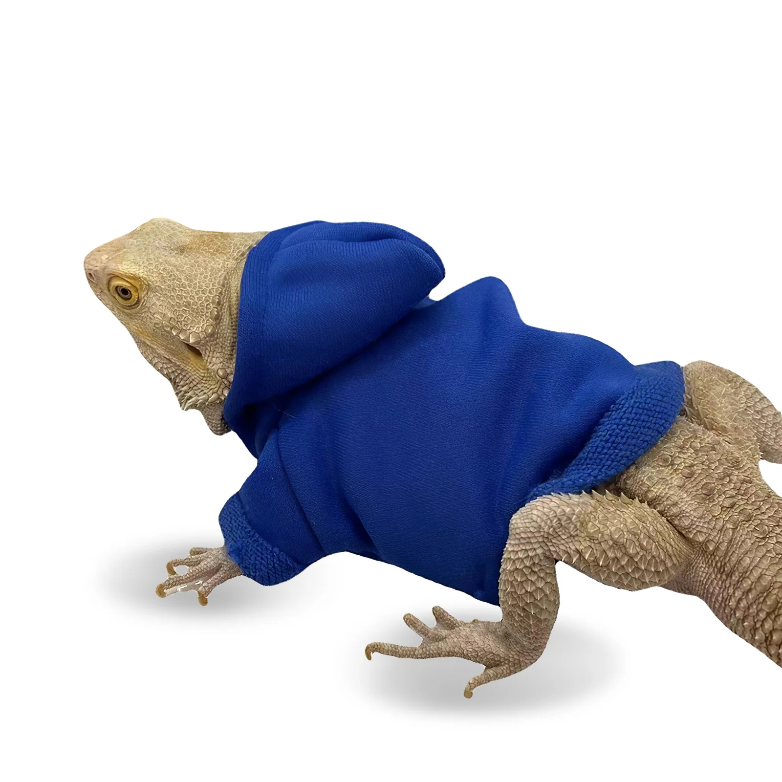 Pet Lizard Costume Pets Hoodies Bearded Dragon Apparel Sweater Clothes Party Outfit Clothing 
Pet Lizard Costume Pets Hoodies Bearded Dragon Apparel Sweater Clothes Party Outfit Clothing