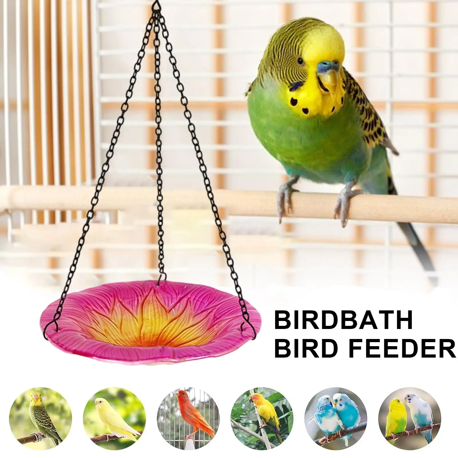 Outdoor Bird Bath Flower Shape 8 Inches Suspending Birdbath Basin For Lawn Backyard Patio Wildlife Outdoor Yard Balcony Nature
Outdoor Bird Bath Flower Shape 8 Inches Suspending Birdbath Basin For Lawn Backyard Patio Wildlife Outdoor Yard Balcony Nature