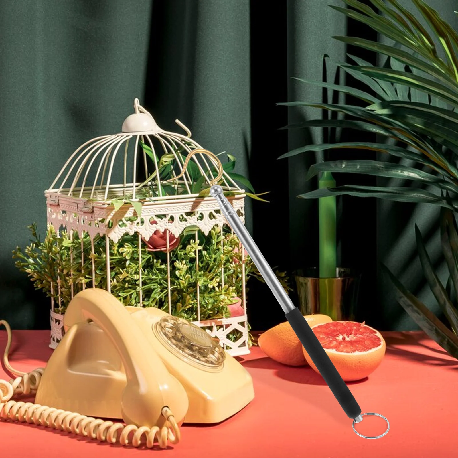 Stainless Steel Telescopic Hanging Rod Adjustable Length Ceiling Mount Birdcage Suspension Pole For Home Decor Cage
Stainless Steel Telescopic Hanging Rod Adjustable Length Ceiling Mount Birdcage Suspension Pole For Home Decor Cage