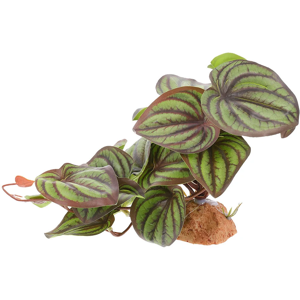 Lifelike Simulation Reptile Plants Decorative Aquarium Supplies Realistic Terrarium Landscape Good for Lizards Bearded Dragons
Lifelike Simulation Reptile Plants Decorative Aquarium Supplies Realistic Terrarium Landscape Good for Lizards Bearded Dragons