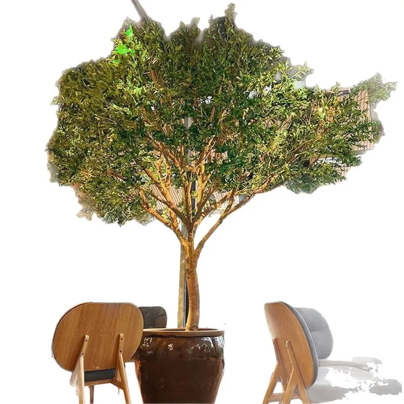 Simulated olive tree large-scale ground-to-ground green plants indoor and outdoor landscape Northern Europe
Simulated olive tree large-scale ground-to-ground green plants indoor and outdoor landscape Northern Europe