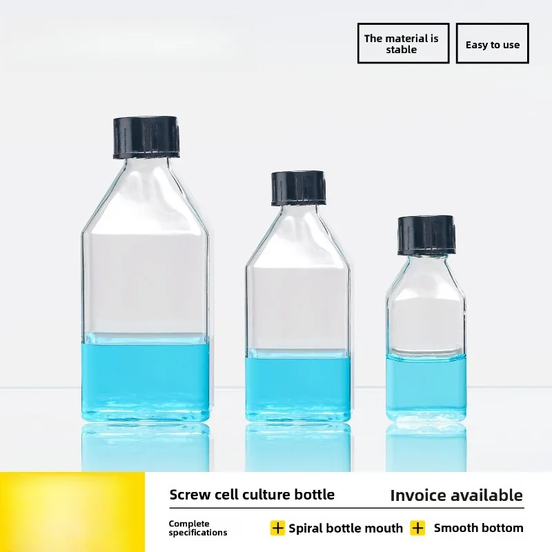 Screw Cap Cell Culture Flask Glass Erlenmeyer Flask 25/50/80/100/250ml Labware
Screw Cap Cell Culture Flask Glass Erlenmeyer Flask 25/50/80/100/250ml Labware