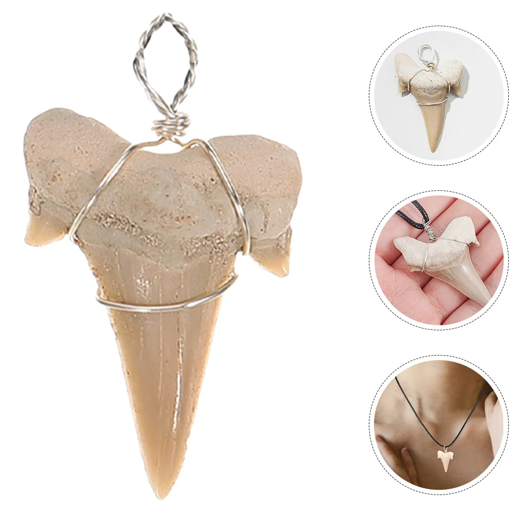 Shark Tooth Pendant Charms for Bracelet Making Pearl Necklace Earrings Teeth Pendants Fossil Ornament Ornaments Funny Miss
Shark Tooth Pendant Charms for Bracelet Making Pearl Necklace Earrings Teeth Pendants Fossil Ornament Ornaments Funny Miss