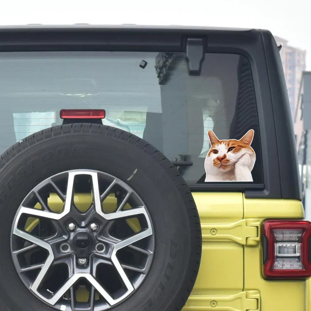 Water Bottles and More - Durable, Easy To Use Cute Cat Emoji Sticker - Fun and Cute Decoration for Cars, Laptops,
Water Bottles and More - Durable, Easy To Use Cute Cat Emoji Sticker - Fun and Cute Decoration for Cars, Laptops,