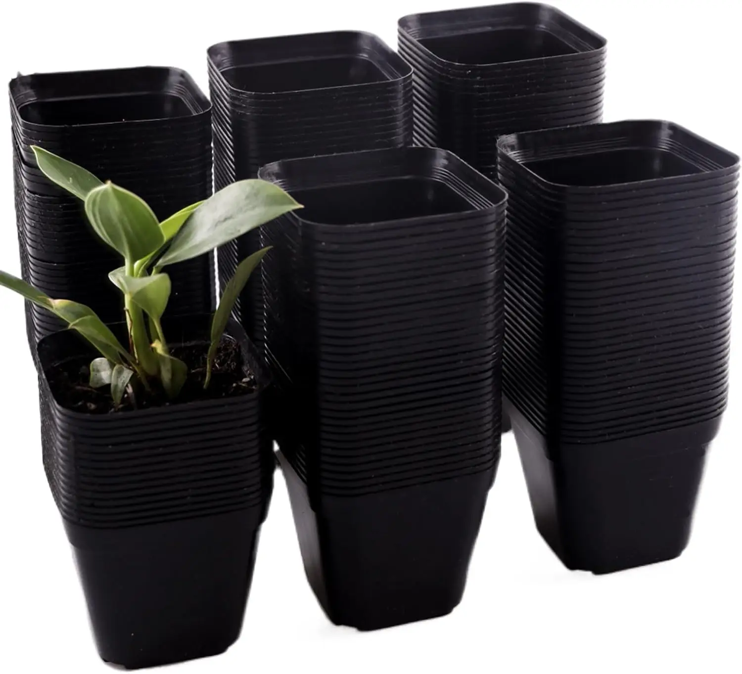 200 Packs Square Nursery Pots for Plants 4 Inch Plastic Seedling Starting Pots with Drainage Holes Flower Planters, Black
200 Packs Square Nursery Pots for Plants 4 Inch Plastic Seedling Starting Pots with Drainage Holes Flower Planters, Black