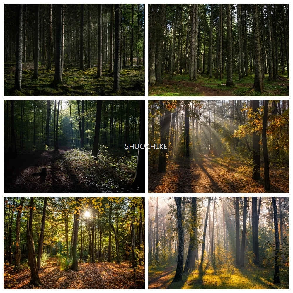 Enchanted Forest Photography Backdrop Natural Spring Summer Autumn Winter Field Tree Photo Background Fairy Photo Booth
Enchanted Forest Photography Backdrop Natural Spring Summer Autumn Winter Field Tree Photo Background Fairy Photo Booth