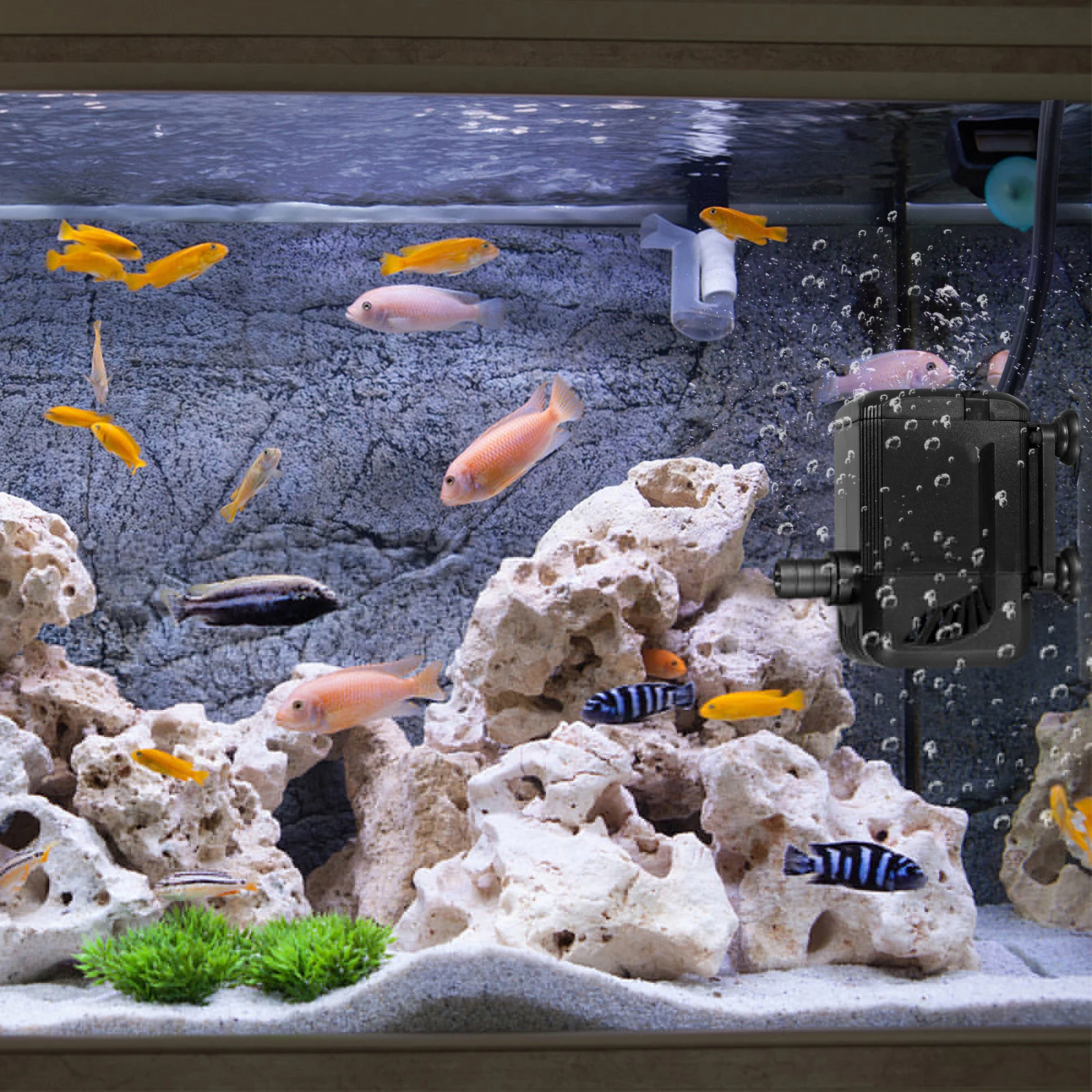 Fish Tank Filter Silent Submersible Pump Water Pond Aquarium Pool for Outdoor Suction Cup
Fish Tank Filter Silent Submersible Pump Water Pond Aquarium Pool for Outdoor Suction Cup