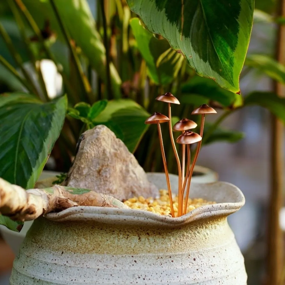 Metal Mini Mushroom Garden Stakes Potted Flower Decoration Five-headed mushroom Mushroom Potted Ornament Garden Decoration
Metal Mini Mushroom Garden Stakes Potted Flower Decoration Five-headed mushroom Mushroom Potted Ornament Garden Decoration