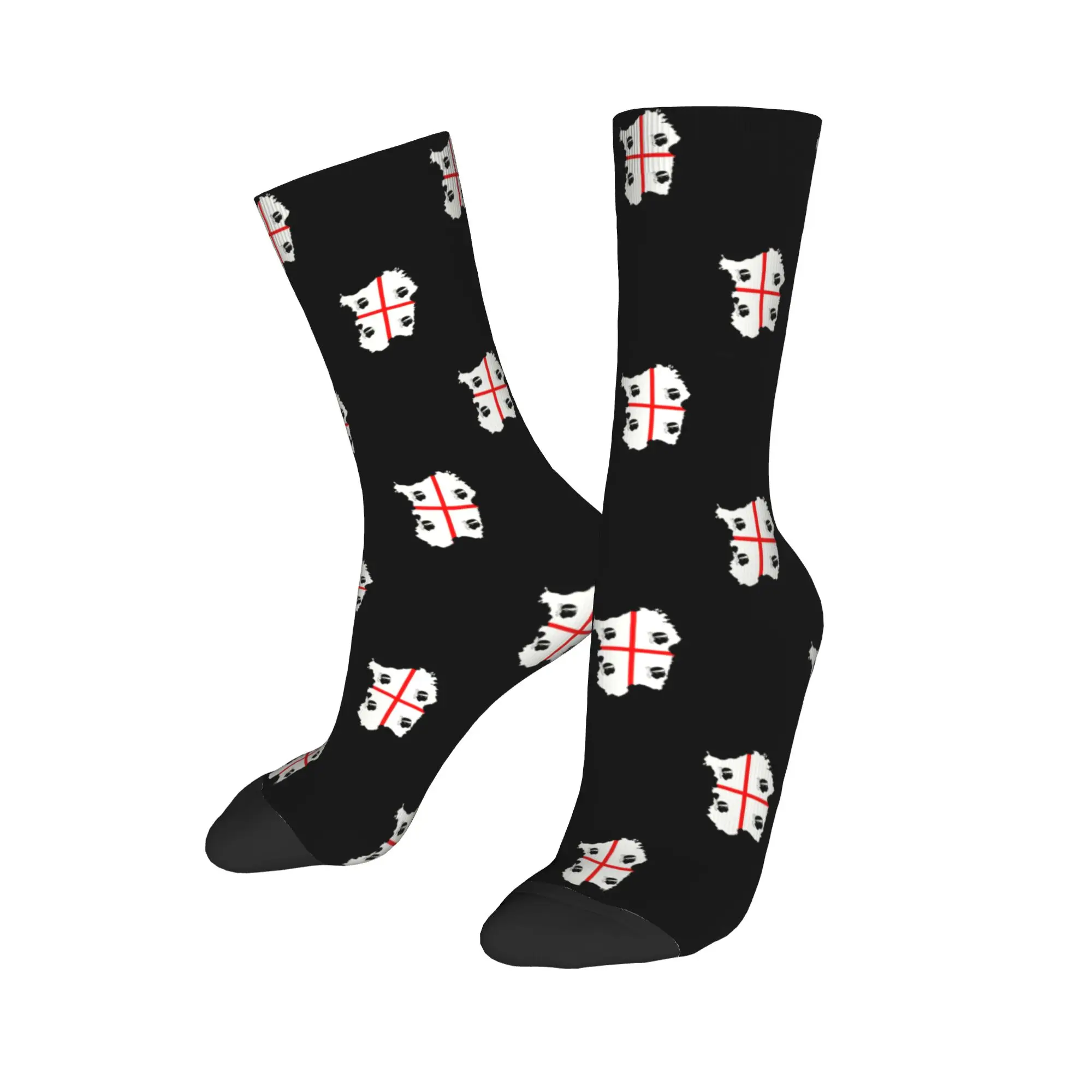 Custom Quattro Mori Sardinia Flag Map Dress Socks Mens Womens Warm Fashion Novelty Italy Sardegna Crew Socks
Custom Quattro Mori Sardinia Flag Map Dress Socks Mens Womens Warm Fashion Novelty Italy Sardegna Crew Socks