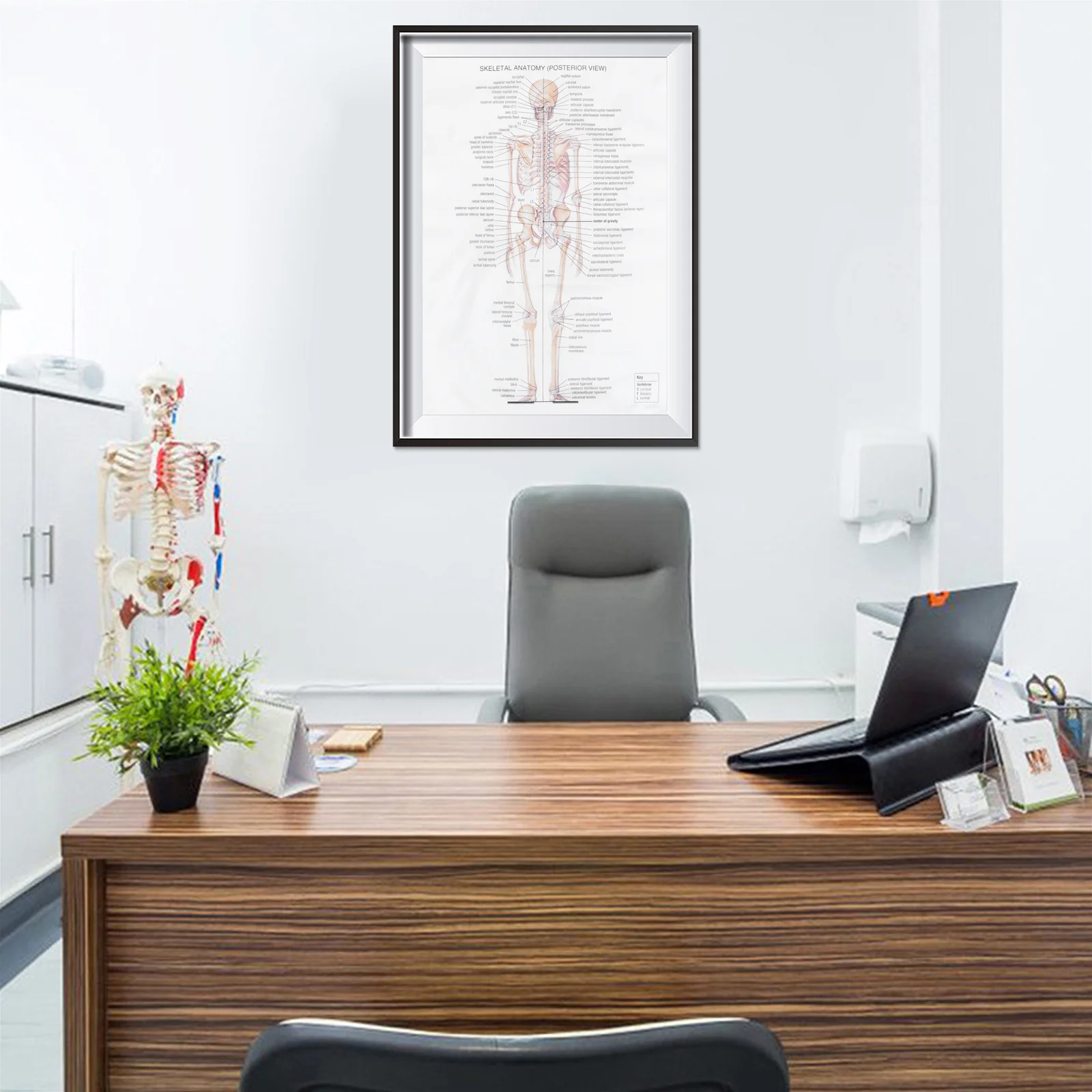 Skeletal Structure Anatomy Poster 24x36 Inch Human Body Decorative Wall Art for Home Bar Party Decoration Educational
Skeletal Structure Anatomy Poster 24x36 Inch Human Body Decorative Wall Art for Home Bar Party Decoration Educational