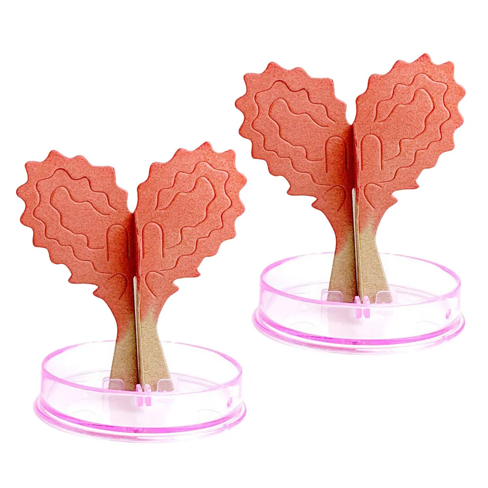 2Sets Mini Paper Heart Tree DIY Growing Blossom Decor for Kids Couples Quality Time Home Party Gift
2Sets Mini Paper Heart Tree DIY Growing Blossom Decor for Kids Couples Quality Time Home Party Gift