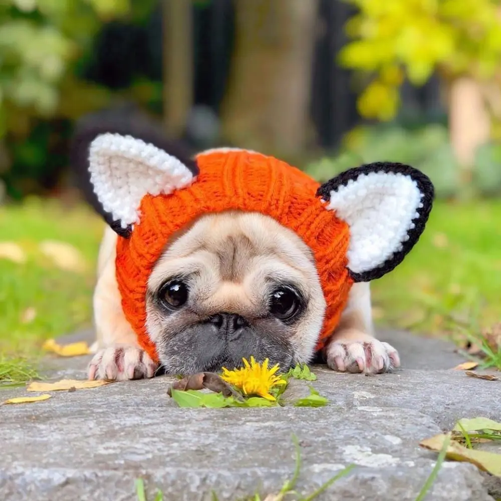 Dinosaur/Brown Bear Halloween Knitted Pet Hat Deer/Black Bull Shape Breathable Rabbit Ear Dog Hat Soft Wool Knitted Puppy Cap
Dinosaur/Brown Bear Halloween Knitted Pet Hat Deer/Black Bull Shape Breathable Rabbit Ear Dog Hat Soft Wool Knitted Puppy Cap