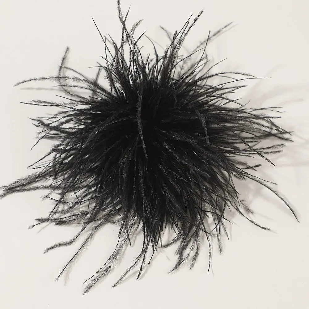 8-10cm Large Ostrich Feather Brooch Exaggerated Design Artificial Feather Feather Brooch Accessories Handmade DIY
8-10cm Large Ostrich Feather Brooch Exaggerated Design Artificial Feather Feather Brooch Accessories Handmade DIY