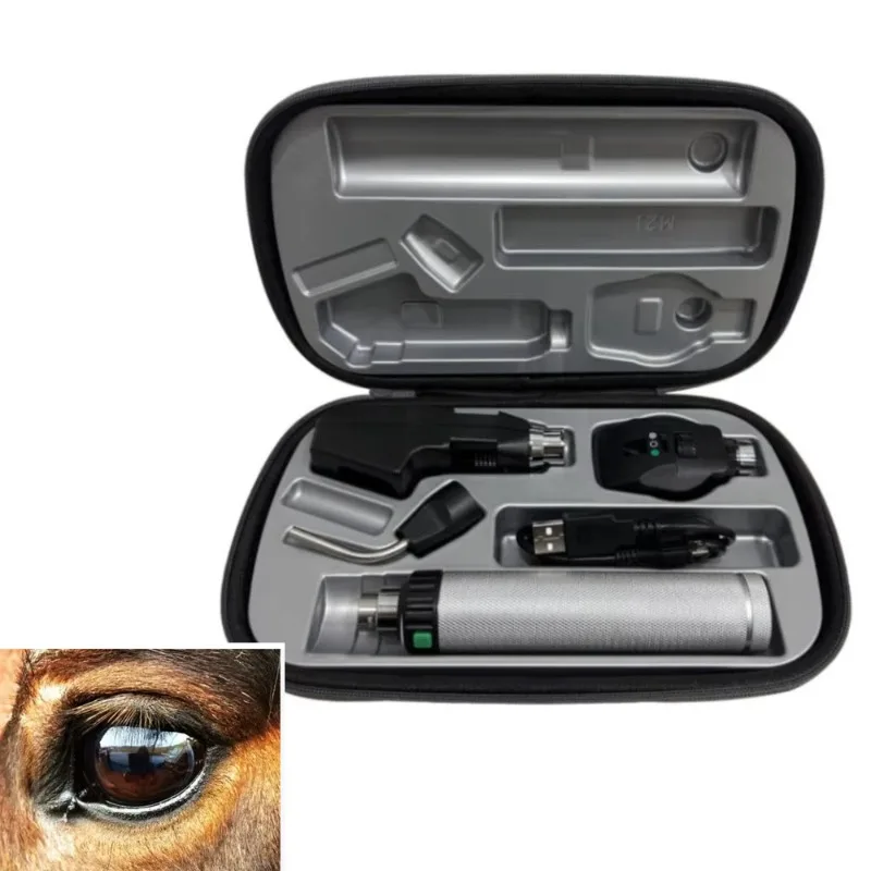 Ophthalmic Optical Equipment Instruments for Veterinary Eye Examination, Such As Ophthalmoscopes and Retinoscopes.
Ophthalmic Optical Equipment Instruments for Veterinary Eye Examination, Such As Ophthalmoscopes and Retinoscopes.