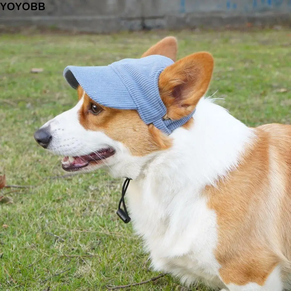 Fashion Adjustable Dog Baseball Cap Breathable Soft Dog Parent-Child Hat with Ear Holes Pet Sun Hat Hiking
Fashion Adjustable Dog Baseball Cap Breathable Soft Dog Parent-Child Hat with Ear Holes Pet Sun Hat Hiking