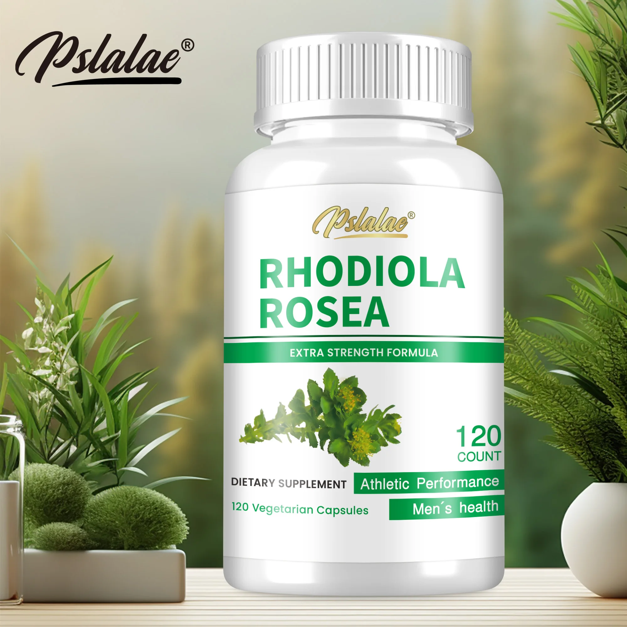 Rhodiola Rosea Supplement – Promotes Anti-Stress Relief, Natural Mood and Concentration Support, Natural Energy Boost, Unisex
Rhodiola Rosea Supplement – Promotes Anti-Stress Relief, Natural Mood and Concentration Support, Natural Energy Boost, Unisex