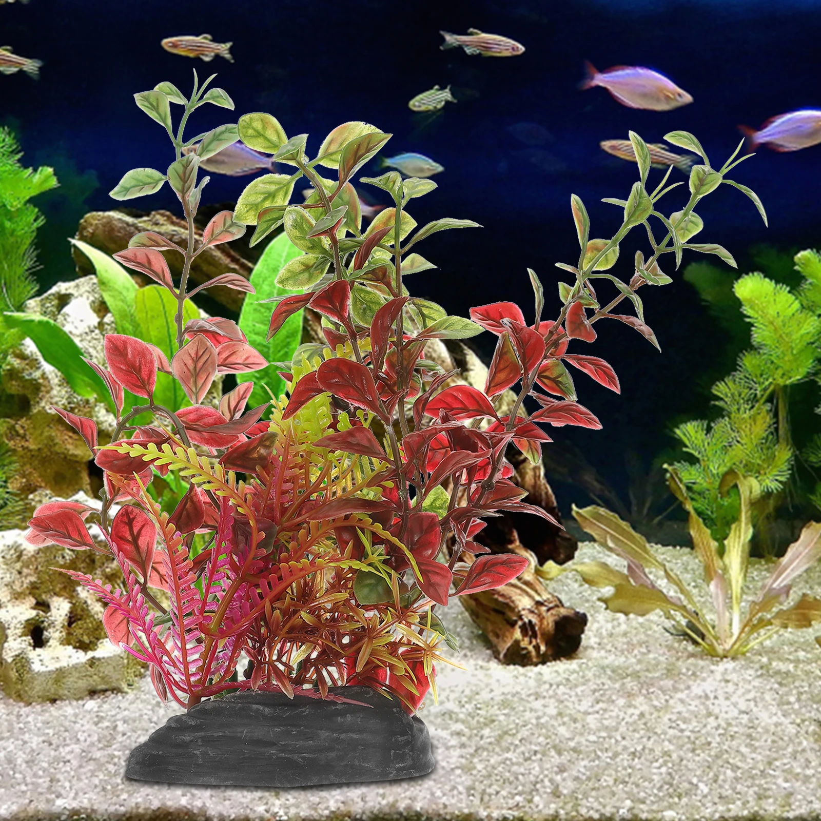 Aquarium Plant Plastic Fake Fish Tank Grass Green Small Decoration for Reptile Cage Terrarium Pets Accessories Aquatic Water
Aquarium Plant Plastic Fake Fish Tank Grass Green Small Decoration for Reptile Cage Terrarium Pets Accessories Aquatic Water