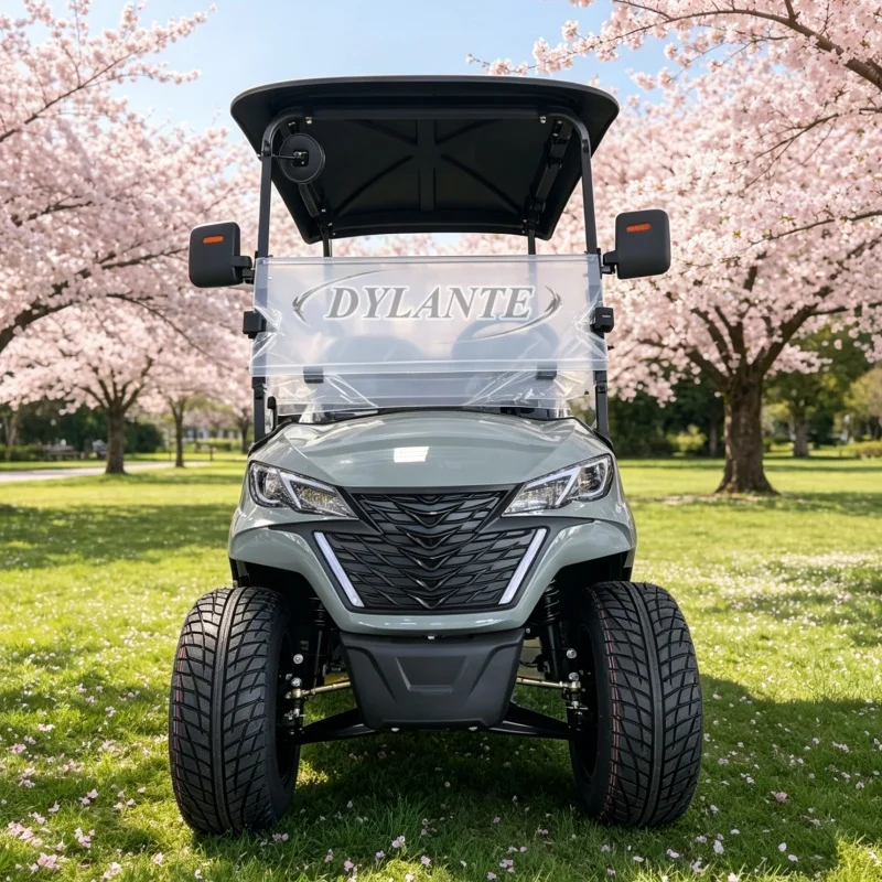 Club Car Street Legal Electric Golf Cart 2 Seater 4WD Lifted Off-Road Luxury Model Lithium Battery CE Certified
Club Car Street Legal Electric Golf Cart 2 Seater 4WD Lifted Off-Road Luxury Model Lithium Battery CE Certified