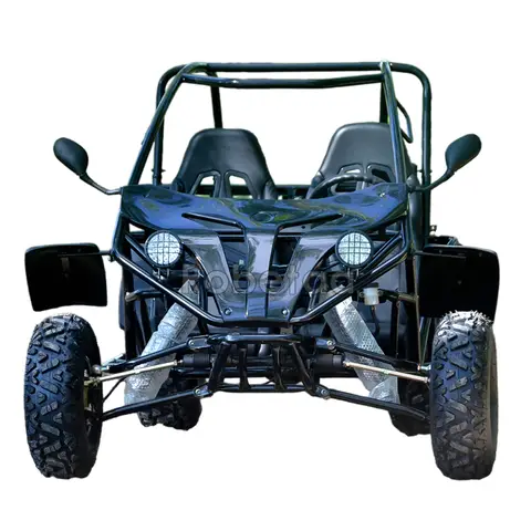 Electric Go Kart Off Road Off Road 4x4 Go Karts Cheap Chinese Buggies Pedal Cars for Adults 2 Seats