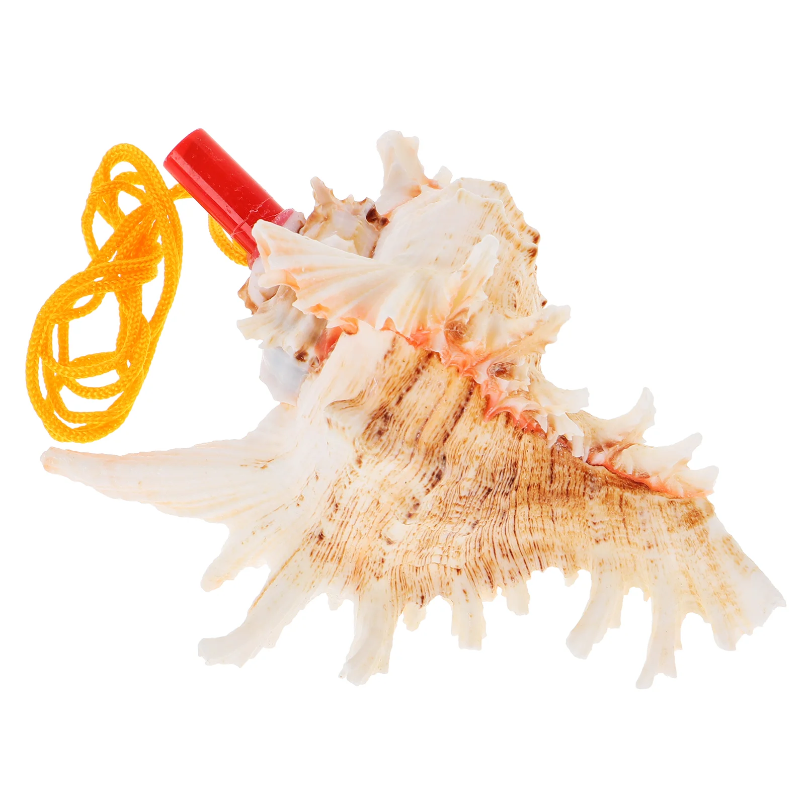 Conch Whistle Large Seashells Thousand Hand Snail for Decorating Toys Decoration Travel
Conch Whistle Large Seashells Thousand Hand Snail for Decorating Toys Decoration Travel