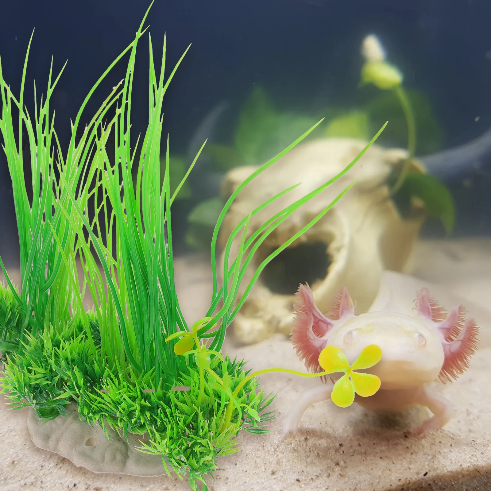 Artificial Water Plants Plastic Aquarium Decor for Fish Tank Reptile Cage Supplies Lifelike Green Easy Maintain Safe Pets Betta 
Artificial Water Plants Plastic Aquarium Decor for Fish Tank Reptile Cage Supplies Lifelike Green Easy Maintain Safe Pets Betta