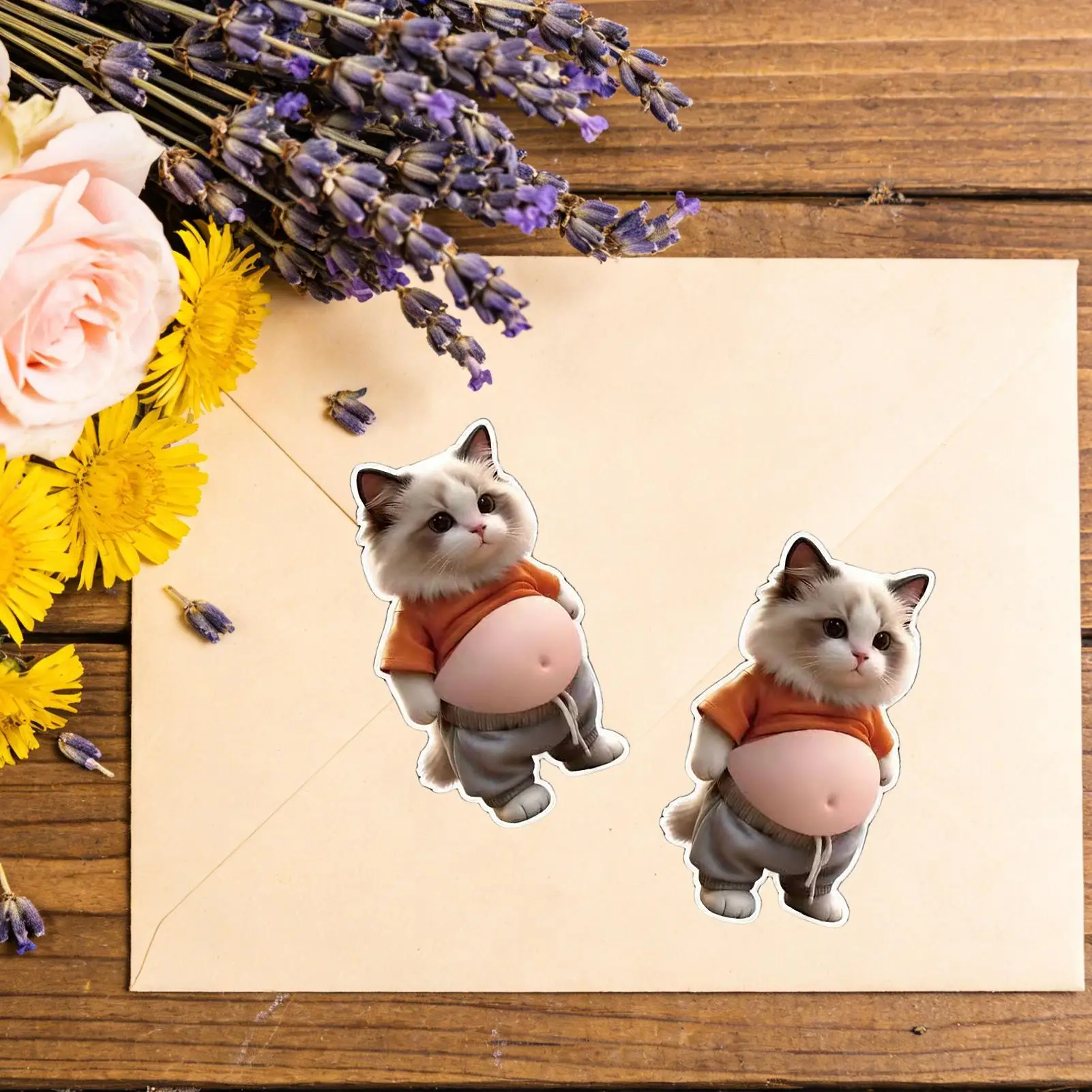3D Stickers Funny Cat Belly Adhesive Toys Phone Stickers Scrapbook Decorations for Diary Notebook Planner Phone Case Cup Tablet
3D Stickers Funny Cat Belly Adhesive Toys Phone Stickers Scrapbook Decorations for Diary Notebook Planner Phone Case Cup Tablet