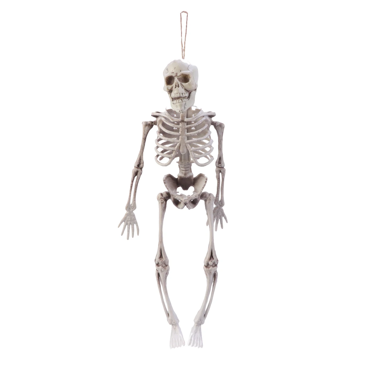 Halloween Skull Hanging Decoration Plastic Scary Props Horror Parties Haunted Houses Graveyard Scenes Medical Display
Halloween Skull Hanging Decoration Plastic Scary Props Horror Parties Haunted Houses Graveyard Scenes Medical Display