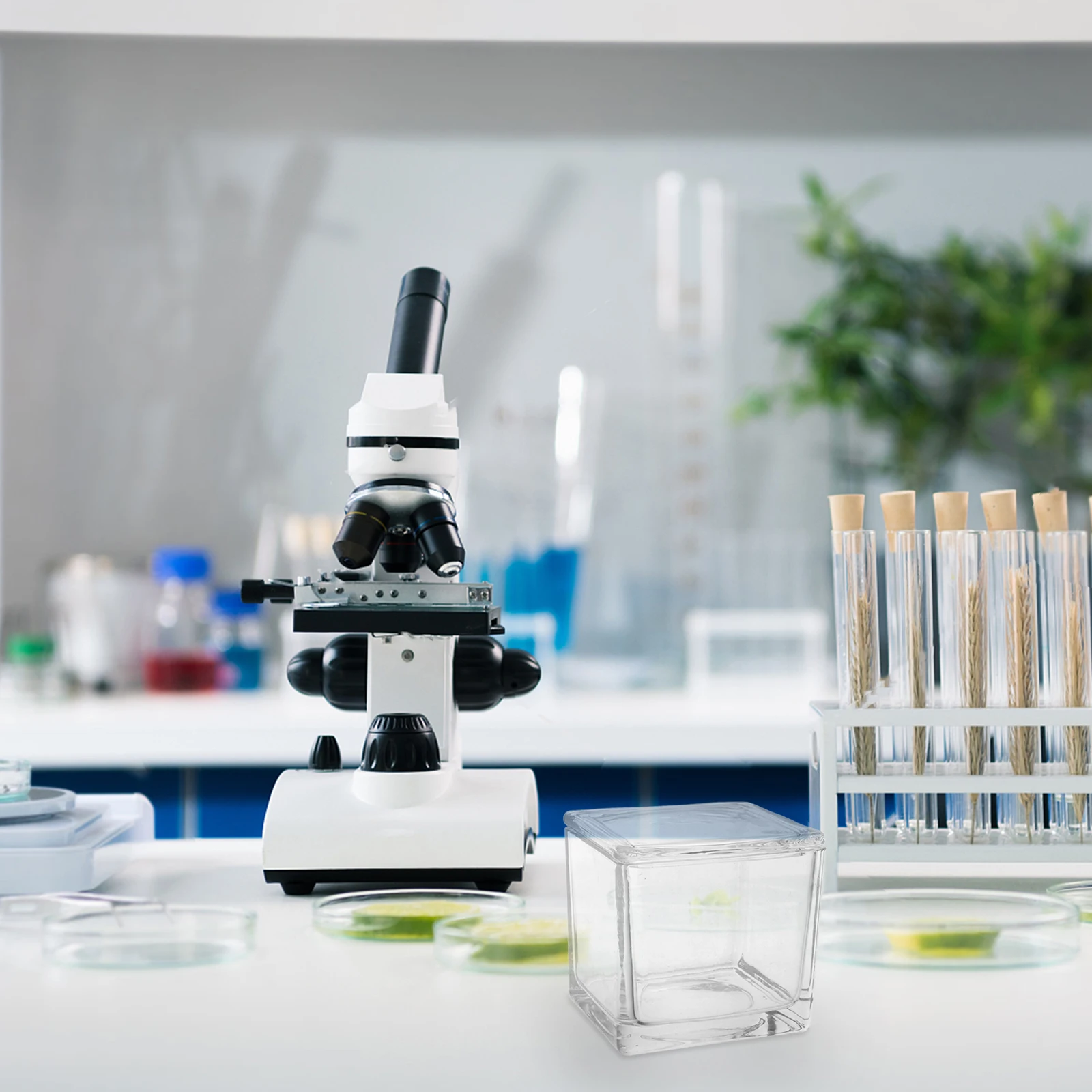 Slide Dyeing Tank Glass Decanter Stopper Wireless Transparent Microscope with Slides
Slide Dyeing Tank Glass Decanter Stopper Wireless Transparent Microscope with Slides