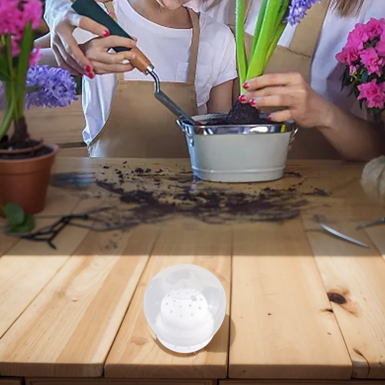 Package Content Indoor Garden Decor Lazy Flower Pot Design Flowerpot Indoor Garden Decor Lazy Flower Pot Lightweight
Package Content Indoor Garden Decor Lazy Flower Pot Design Flowerpot Indoor Garden Decor Lazy Flower Pot Lightweight