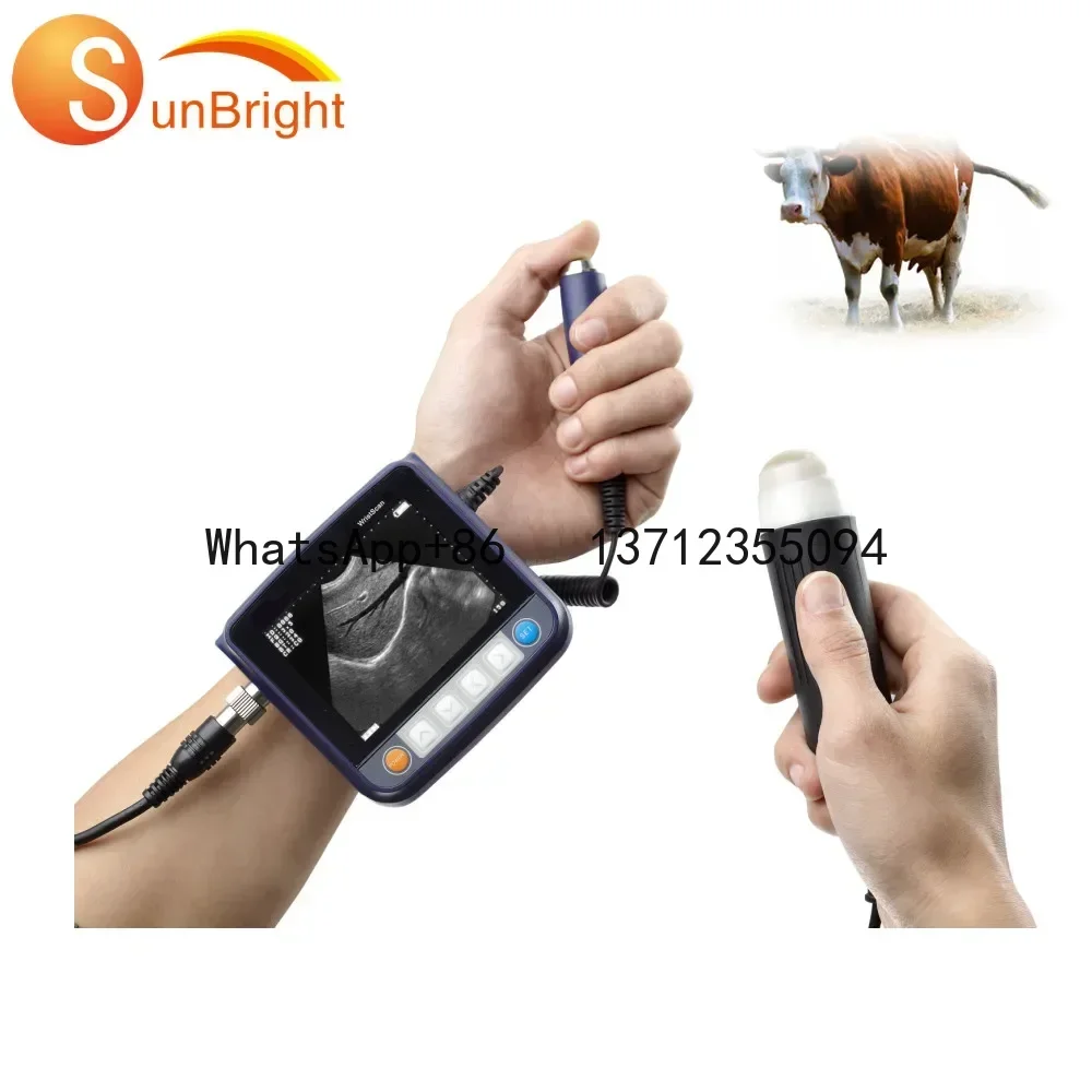 Tier Veterinär Handheld Ultraschall-Scan niedrigster Preis Tierarzt Veterinär Handgelenk Ultraschall-Scan
Tier Veterinär Handheld Ultraschall-Scan niedrigster Preis Tierarzt Veterinär Handgelenk Ultraschall-Scan