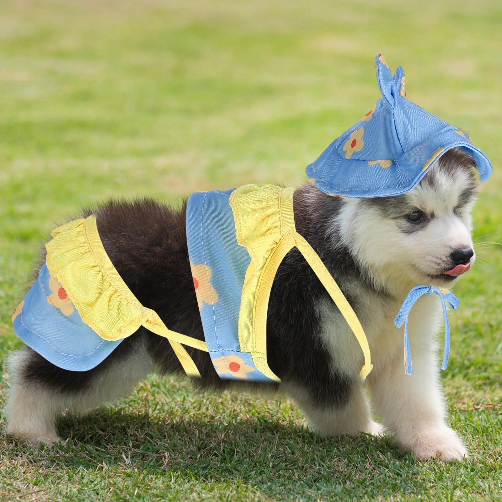 1 set Dog Swimsuit For Small Dogs Pet Summer Dress With Hat Puppy Beach Clothes Lightweight Dog Swimwear Pet Skirts Pool Outfit
1 set Dog Swimsuit For Small Dogs Pet Summer Dress With Hat Puppy Beach Clothes Lightweight Dog Swimwear Pet Skirts Pool Outfit