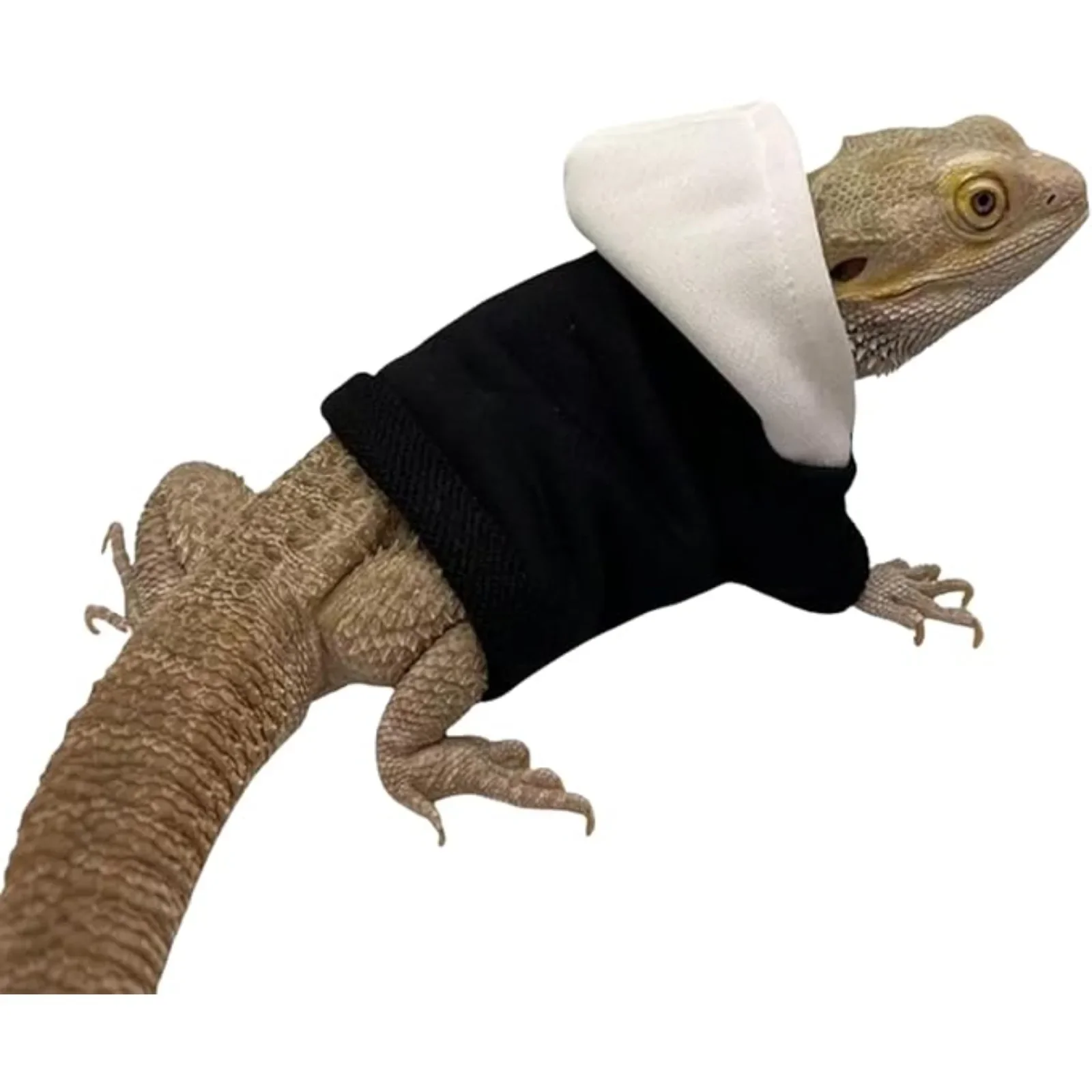 Bearded Dragon Hoodie - Handmade Adjustable Cotton Sweater Reptile Jacket Shirt, Lizard Bearded Dragon Small Animal Clothing
Bearded Dragon Hoodie - Handmade Adjustable Cotton Sweater Reptile Jacket Shirt, Lizard Bearded Dragon Small Animal Clothing