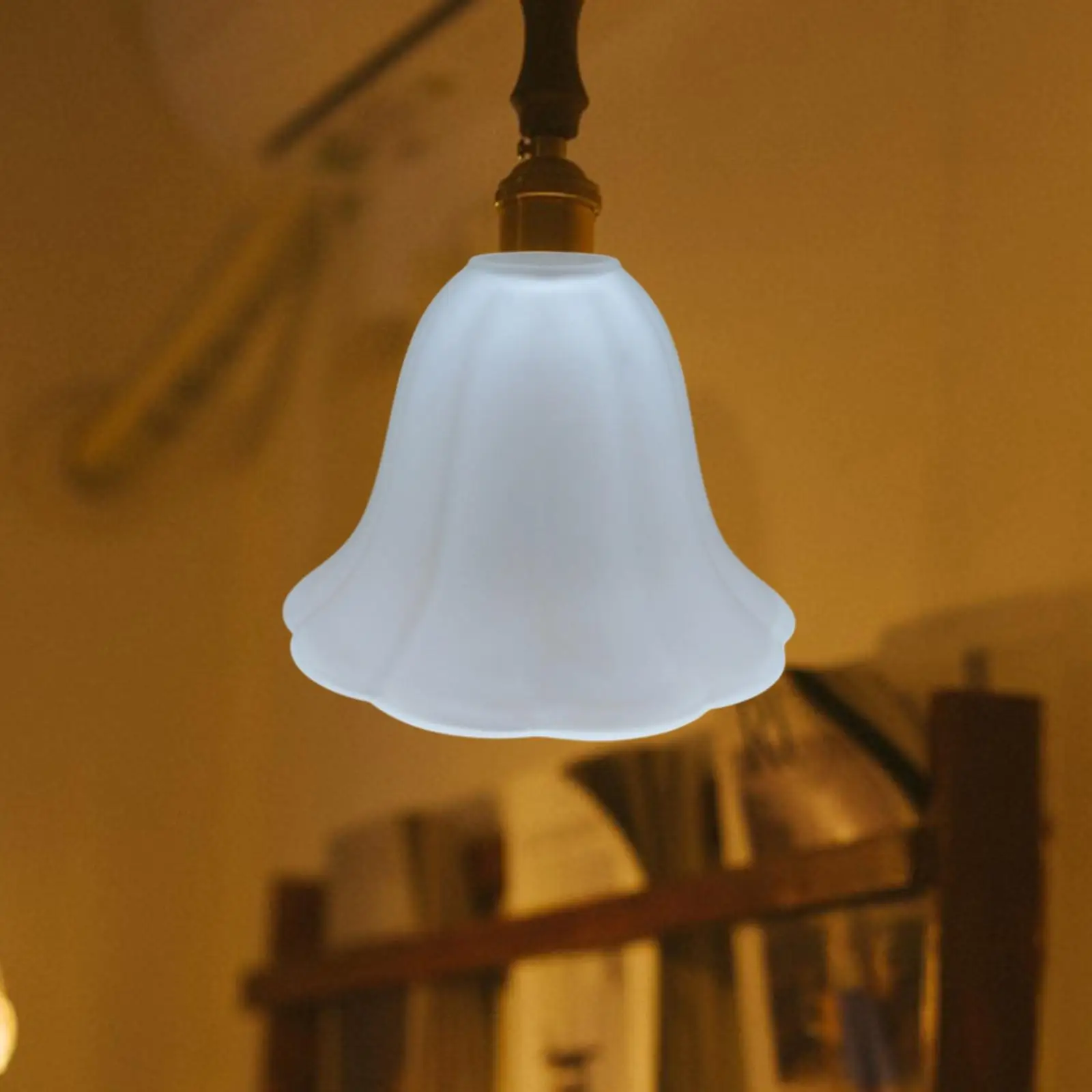 Glass Lampshade Pendant Light Cover Decorative Replacement for Desk Lamp Ceiling Light
Glass Lampshade Pendant Light Cover Decorative Replacement for Desk Lamp Ceiling Light