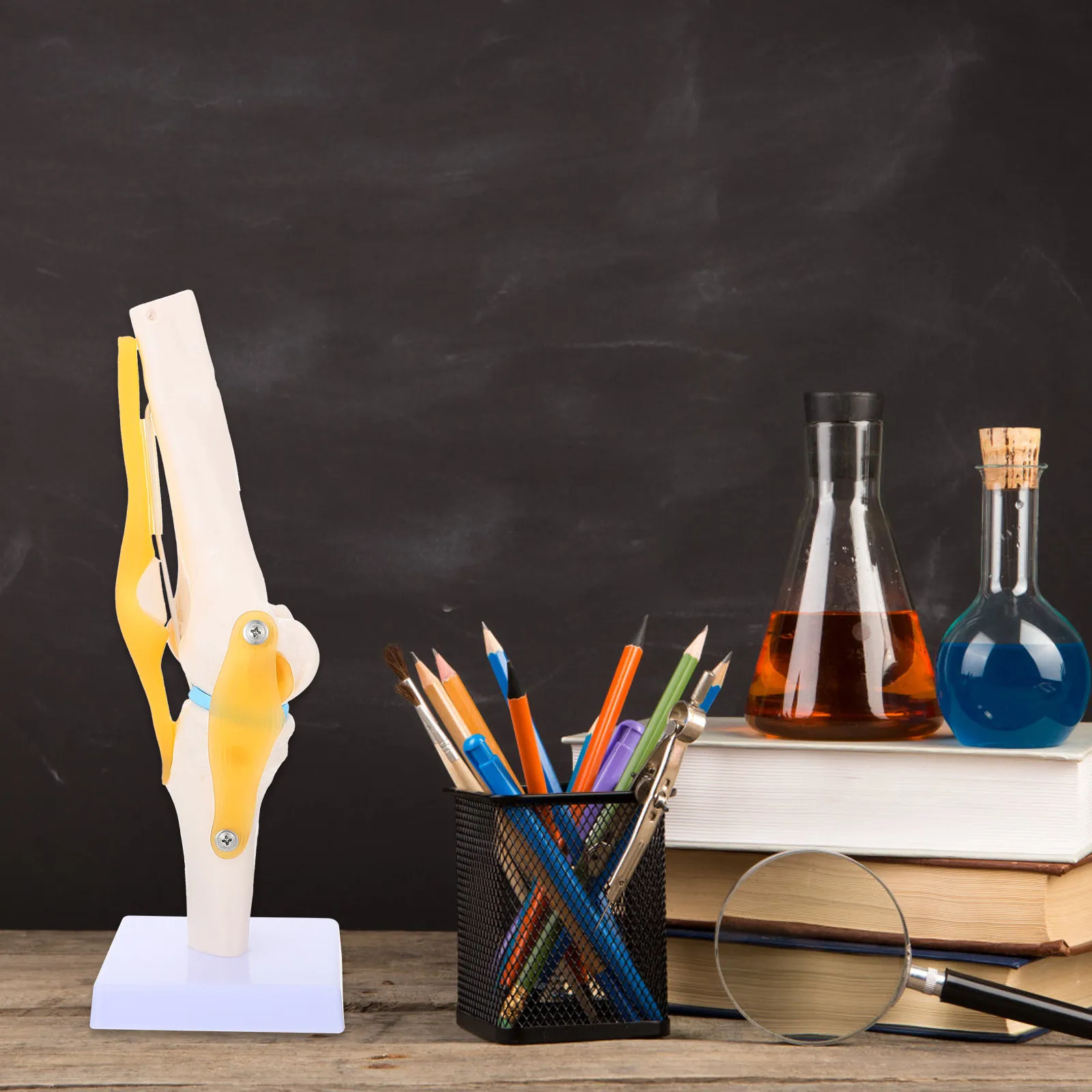 Анатомическая модель коленного сустава человека для обучения в медицинских учреждениях, симуляционное учебное пособие, инструмент для изучения.
Анатомическая модель коленного сустава человека для обучения в медицинских учреждениях, симуляционное учебное пособие, инструмент для изучения.