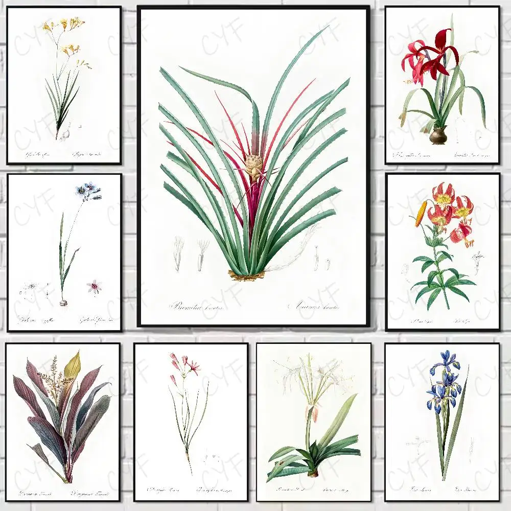 Plants Wildflower Weed Nordic Poster Home Living Bed Room Bar Hallway Sticky Wall Art Printing Waterproof Aesthetic Decor
Plants Wildflower Weed Nordic Poster Home Living Bed Room Bar Hallway Sticky Wall Art Printing Waterproof Aesthetic Decor