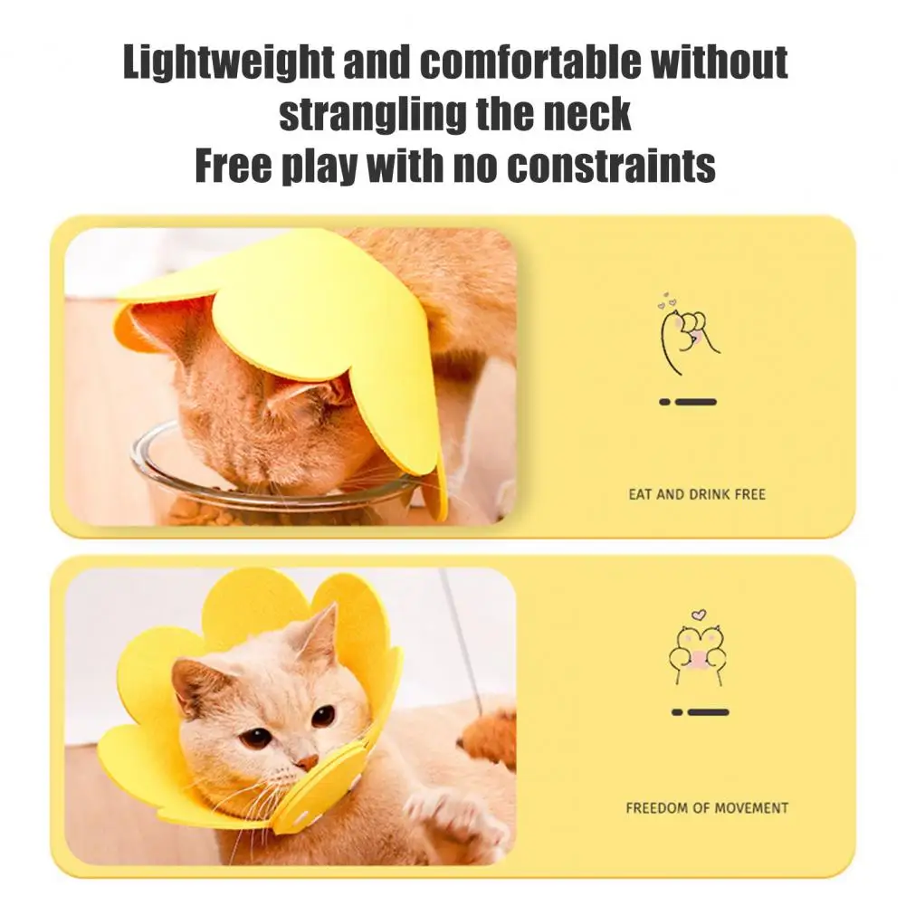 Self-injury Prevention Pet Collar Adjustable Cat Recovery Collar Sunflower Pet Cone Felt Neck Cone for Surgery Healing Lick-bite
Self-injury Prevention Pet Collar Adjustable Cat Recovery Collar Sunflower Pet Cone Felt Neck Cone for Surgery Healing Lick-bite