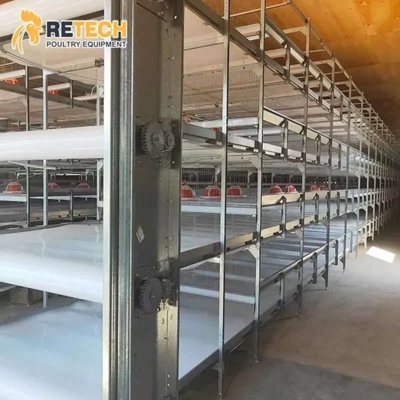 Automatic Chicken Broiler Battery Cage Poultry Farming Feeding Equipment for Sale
Automatic Chicken Broiler Battery Cage Poultry Farming Feeding Equipment for Sale