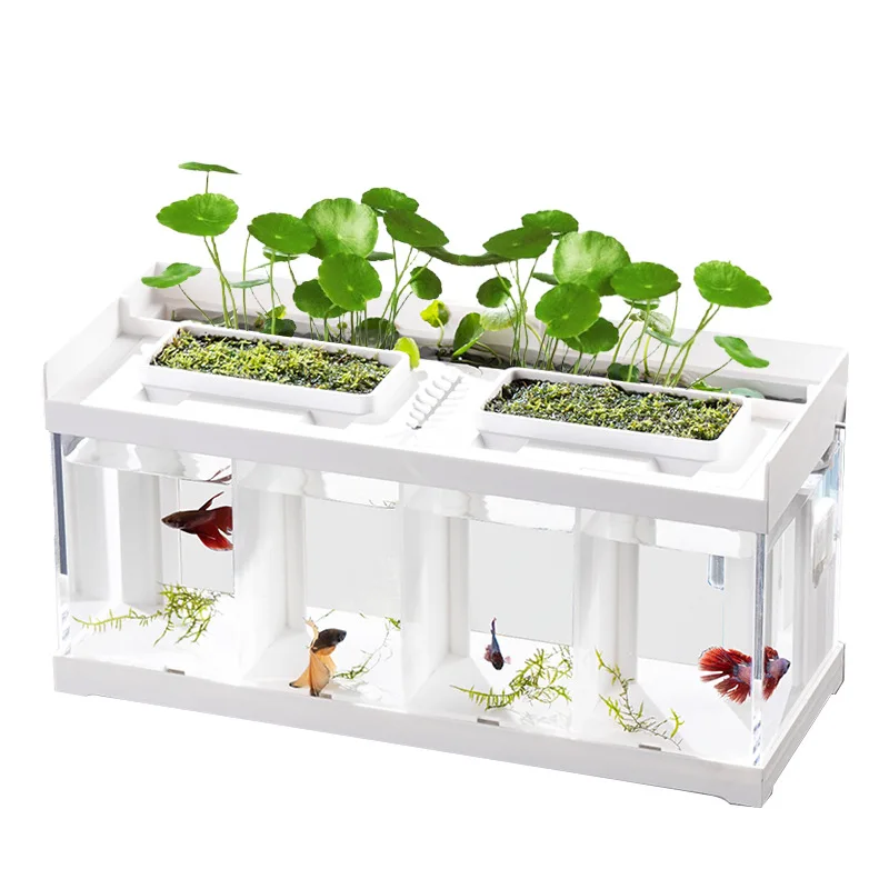 Creative Douyu Tank Acrylic Desktop Ecological Filtration Water-free Heating with Light Special Isolation Douyu Tank
Creative Douyu Tank Acrylic Desktop Ecological Filtration Water-free Heating with Light Special Isolation Douyu Tank