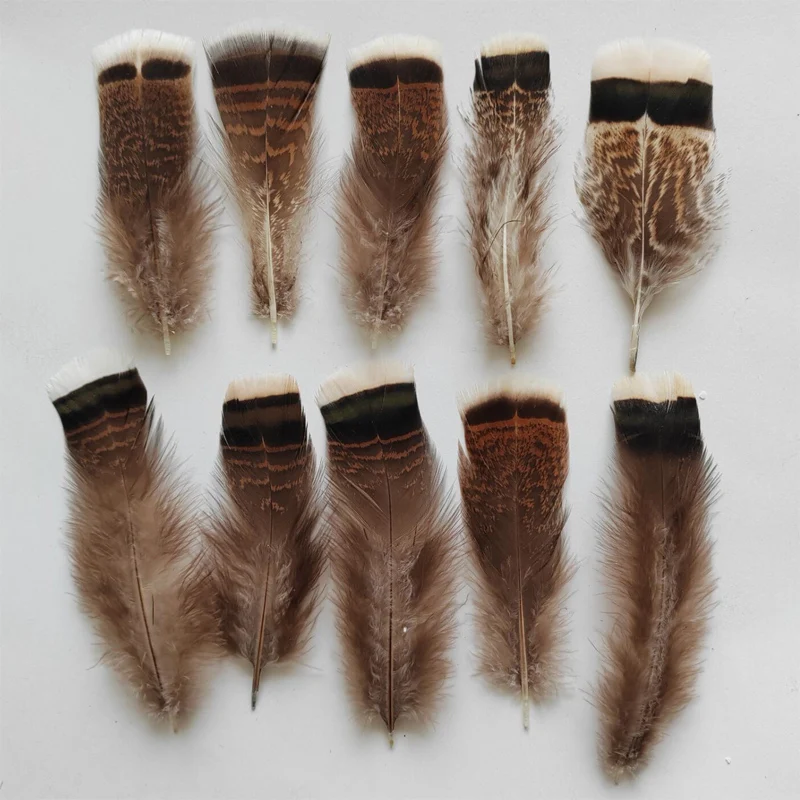 Plumas para manualidades! 50PCS/LOT 9-15cm Natural BRONZE TURKEY Feathers,feathers for crafts
Plumas para manualidades! 50PCS/LOT 9-15cm Natural BRONZE TURKEY Feathers,feathers for crafts