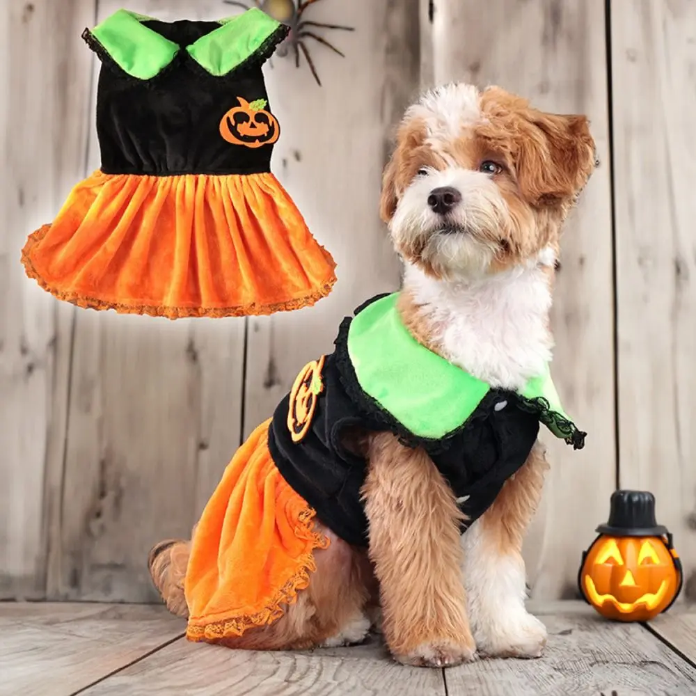Creative Halloween Dog Costume Cute Pumpkin Pattern Dog Pumpkin Dress Adjustable Soft Pet Cosplay Costume Home Decor
Creative Halloween Dog Costume Cute Pumpkin Pattern Dog Pumpkin Dress Adjustable Soft Pet Cosplay Costume Home Decor