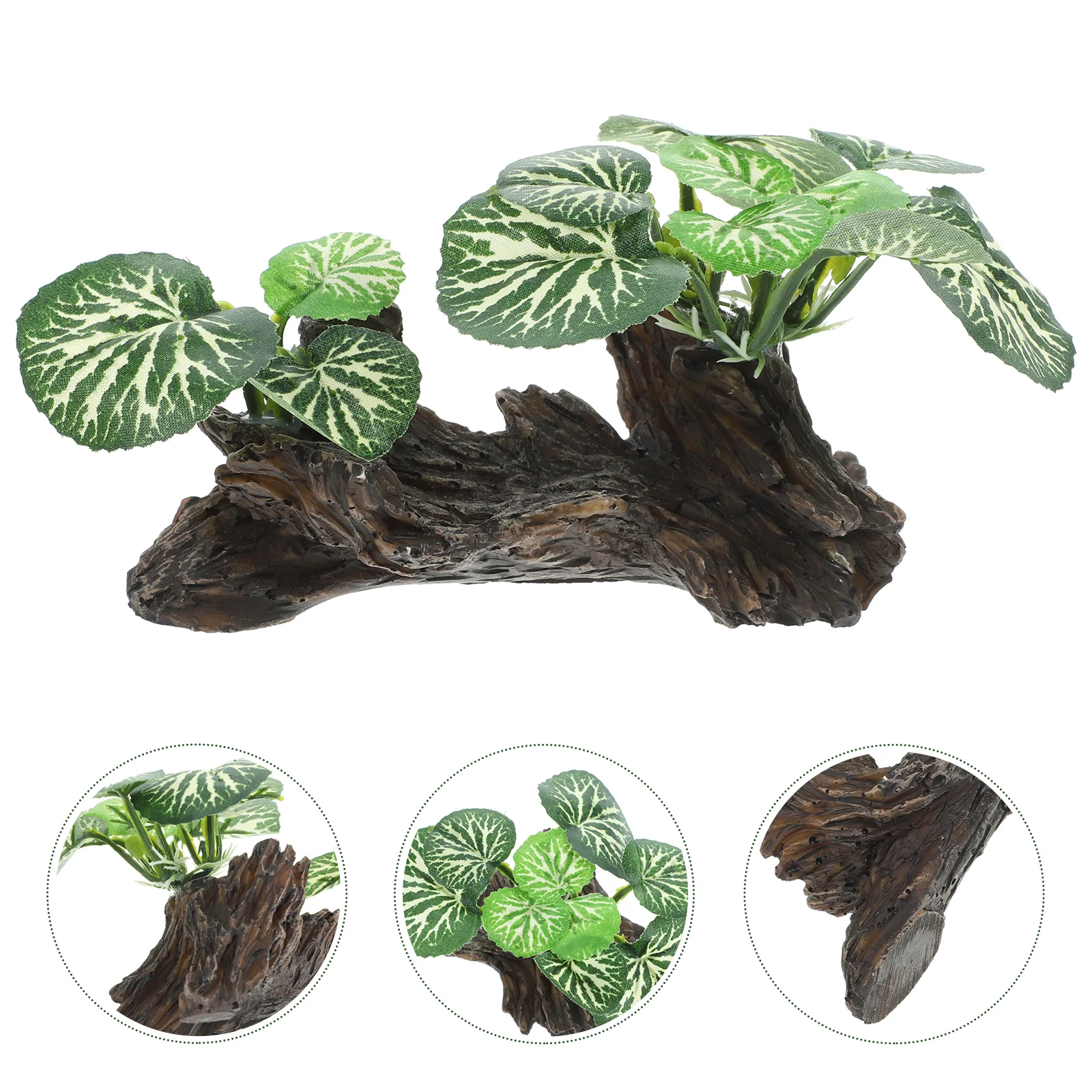 Plant Decoration Terrarium Fake Plants Reptile Greenery Small Aquarium Fish Tank Decorations Resin Accessories
Plant Decoration Terrarium Fake Plants Reptile Greenery Small Aquarium Fish Tank Decorations Resin Accessories
