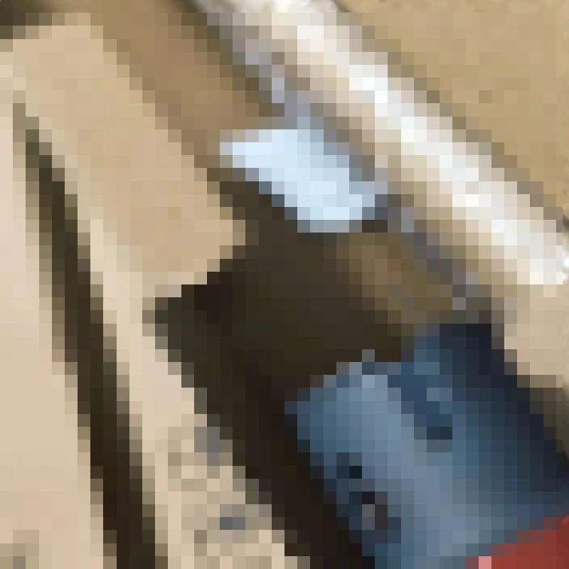 1 шт. Верхний ролик термоблока для Sharp MX-M623N MX-M753N MX-M623U MX-M753U MX M623 M753 623 753 NROLT1850FCZ1 NROLT1850FCZZ
1 шт. Верхний ролик термоблока для Sharp MX-M623N MX-M753N MX-M623U MX-M753U MX M623 M753 623 753 NROLT1850FCZ1 NROLT1850FCZZ