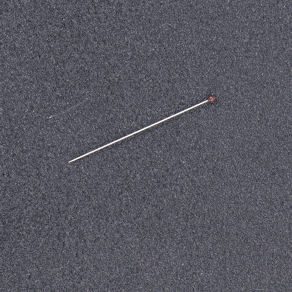 100Pcs Stainless Steel Specimen Pins Rubber Head Insect Pins Rust Resistant for Entomology Science Display Pin
100Pcs Stainless Steel Specimen Pins Rubber Head Insect Pins Rust Resistant for Entomology Science Display Pin