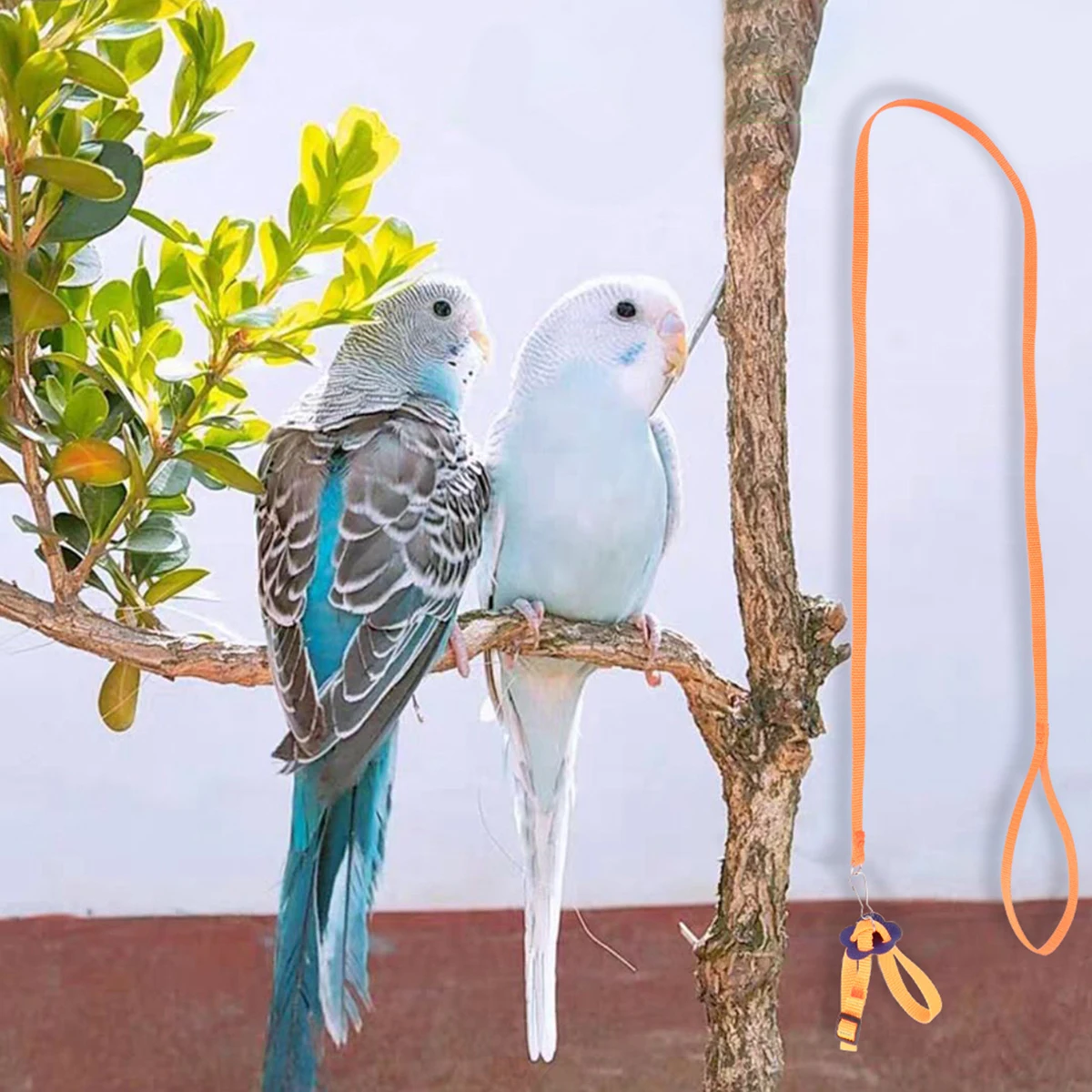 1Pc Pet Pulling Rope For Home Outdoor Party 8 Shaped Structure Collar Leash Supplies For Hamster Turtle
1Pc Pet Pulling Rope For Home Outdoor Party 8 Shaped Structure Collar Leash Supplies For Hamster Turtle