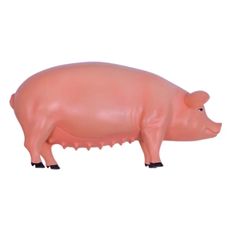Exquisite Workmanshipp-4D Vision Pig Organ Anatomy Model Animal Puzzle For Kids And Students Veterinary Teaching Model
Exquisite Workmanshipp-4D Vision Pig Organ Anatomy Model Animal Puzzle For Kids And Students Veterinary Teaching Model