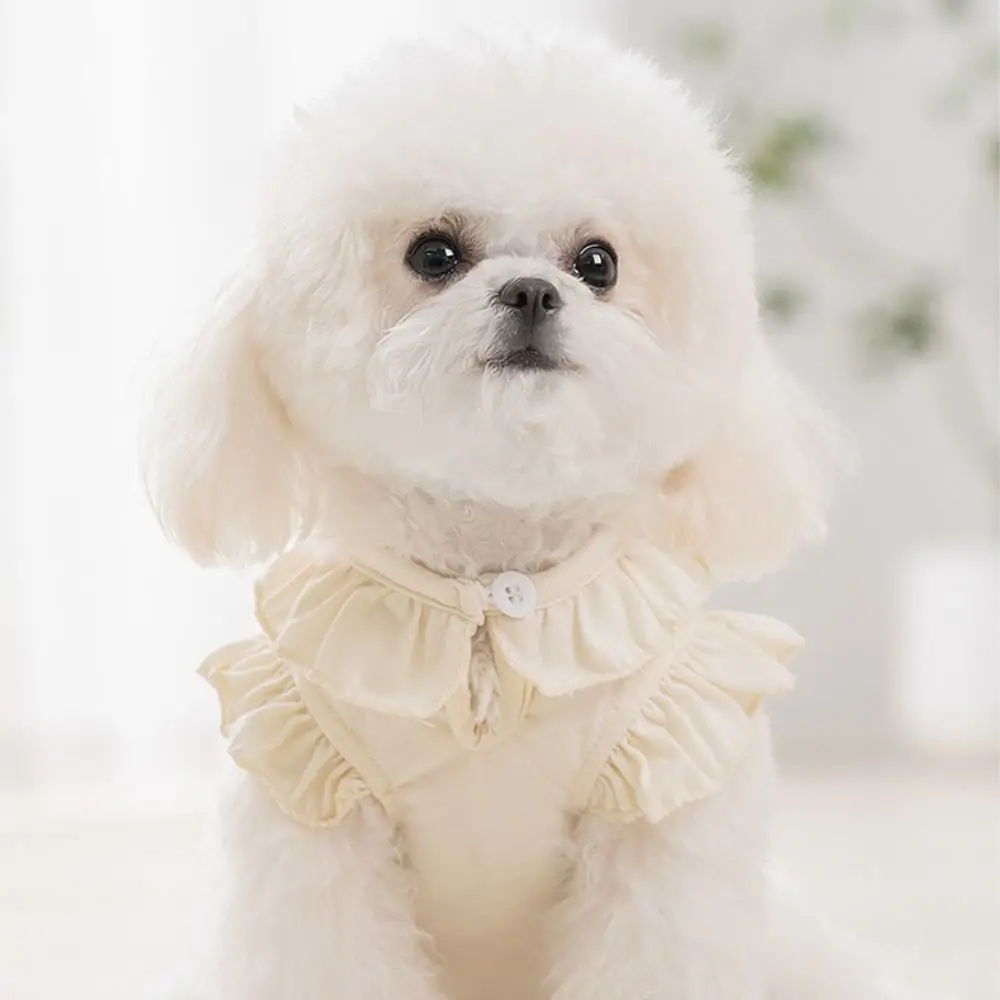 Schnauzer Breathable Spring Summer Dog Vest Soft Cute Cat Dog Frill Tops Rabbit Pattern Pet Clothes Summer
Schnauzer Breathable Spring Summer Dog Vest Soft Cute Cat Dog Frill Tops Rabbit Pattern Pet Clothes Summer